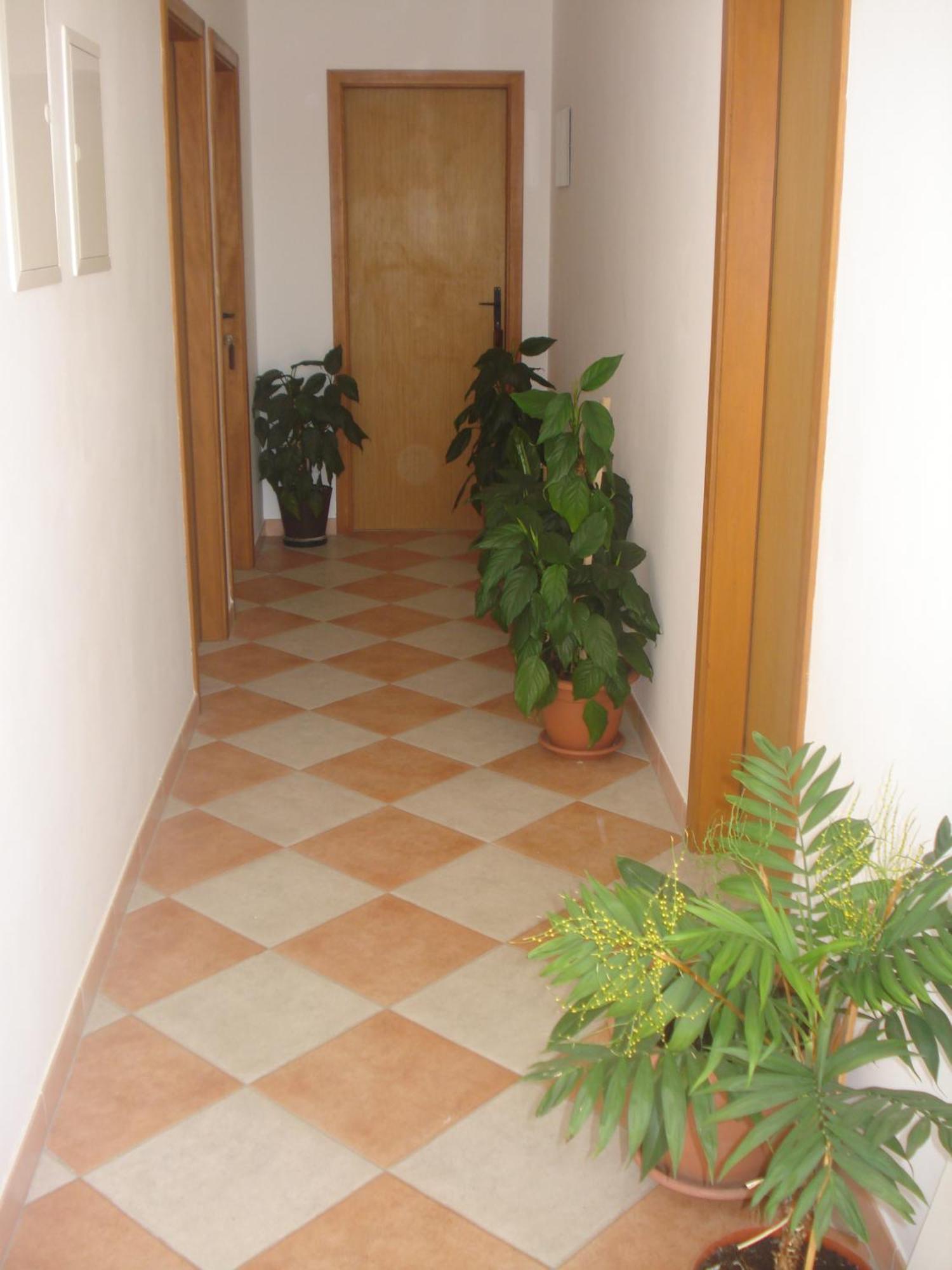 Apartments San Giorgio Sucuraj Exterior photo